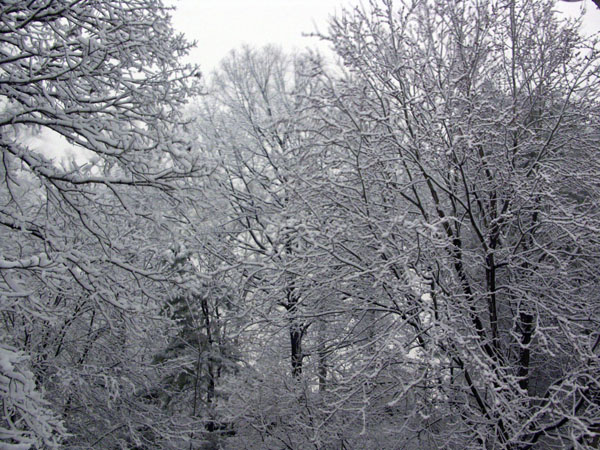 Feb2006a_600.jpg